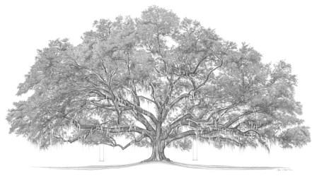 Heritage_Tree